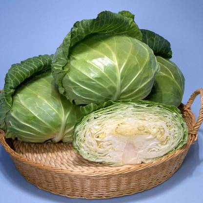 BDSresolve cabbage seeds f1/cabbage seeds 24 Seed