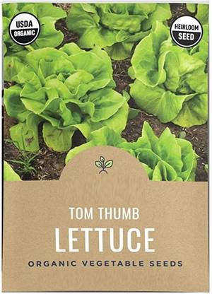VibeX XLR-23 - Tom Thumb Lettuce - (150 Seeds) Seed