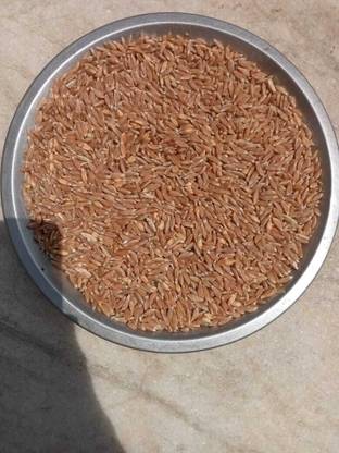 Madhav Pragya Agro Khapli Wheat Seed
