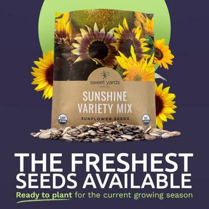 VibeX NDIR-68 - Mix 10 Types of Beautiful Sunflowers - (450 Seeds) Seed