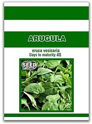 VibeX ® RXI-139 Arugula Seeds for Planting Seed