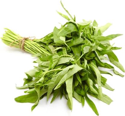 VibeX ® XXL-114 Kangkong Seeds - Rau Muong, Ong Choy Seed