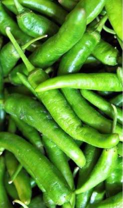 greenfarm NXC- Chilli Seeds / Mirchi Seeds , Best Quality , 300 X Seeds , lll86 Seed