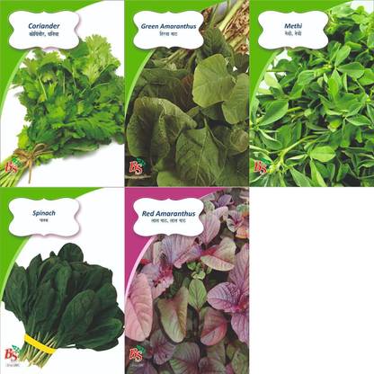 CYBEXIS Leafy Delight Combo 5 Varieties Seed