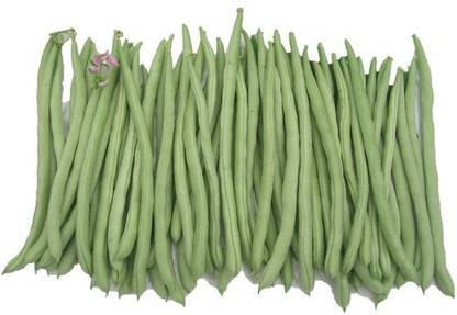 CEZIUS High Germination French Bean Seed