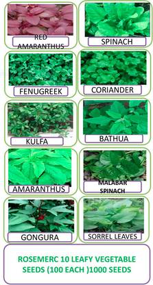ROSEMERC 10 variety leafy vegetable ( each 100 ) Seed