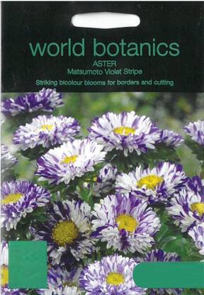 CYBEXIS World Botanics Aster Matsumoto Violet Stripe Seed Seed