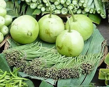 Aro Bottle Gourd round, Kaddu, Lauki Seed