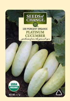 VibeX ® LXI-59 Certified Organic Platinum Cucumber, White Seed