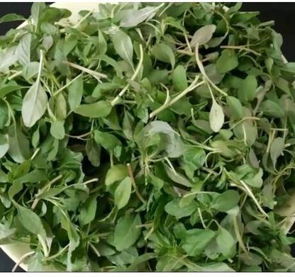 seedbasket Siri kura Seeds For Vegetable Garden- (1400+ Seeds- With More than 70% Germination) And Instruction Manual- Seed