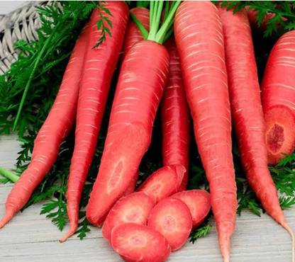 CARROT Best quality f1 hybrid carrot vegetable seeds 50g, Red root colour and size Seed