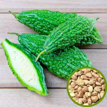 SREE Bitter Guard Seed, BG- 3108 Organic, Korola, Utchhe, Karola Hybird Seed