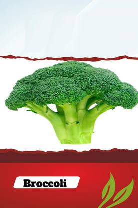 VibeX VXI-19 - Sunking Broccoli - (1350 Seeds) Seed