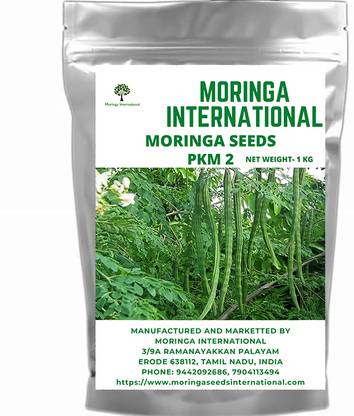 MORINGA INTERNATIONAL MORINGA SEEDS PKM 2 Seed