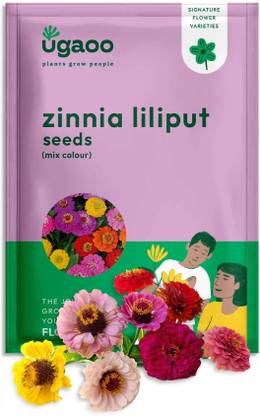 UGAOO Zinnia Lilliput Flower Seed
