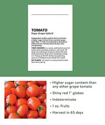 Quentova Napa Grape Tomato 1gm Seeds Seed