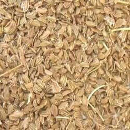SEVA Farm gajar Seed
