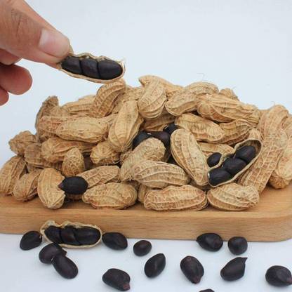 CYBEXIS Hybrid Black Peanut Plant Seeds for Planting500 Seeds Seed