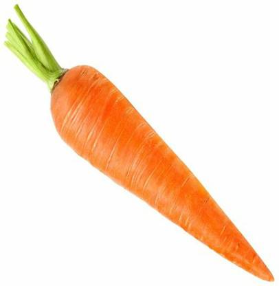 VibeX Orange Carrot Seed