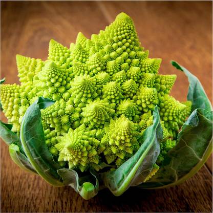 VibeX ® XXL-577 Romanesco Variety Broccoli Seeds Seed