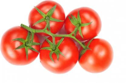 Avysa BUSH CHAMPION II TOMATO Seed