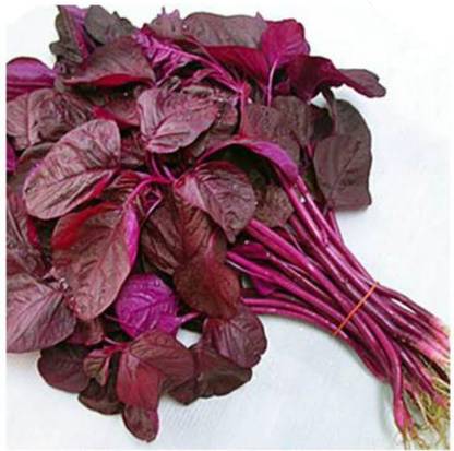 mukt Red Spinch (lal Note) good for health Seed