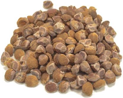 Plantzoin Elephant creeper Seed