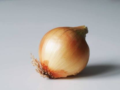 WILLVINE HUA-1125 Original Onion Hybrid Seeds-3000 Seeds Seed