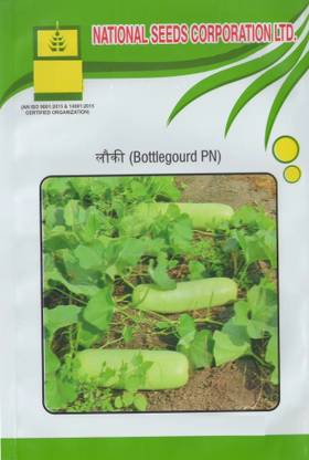 VibeX F1 Hybrid Pusa Naveen Bottle gourd-(200 Gms, 1000 Seeds) Seed
