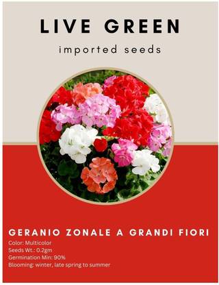 Udanta Live Green Imported Seed-Geranium Geranio Zonale Grandi Mix Flower 0.2gm Seed