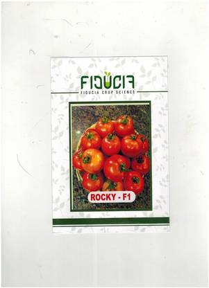 WILLVINE Rocky-F1 HY.TOMATO SEEDS [10g, 3000 Seeds] Seed
