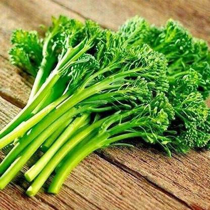 VibeX ® XXL-311 Aspabroc Hybrid Broccoli Seeds - Broccolini Seed