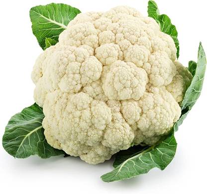 TDFPC Fulkofi, Fulgobi, Cauliflower Seeds Seed