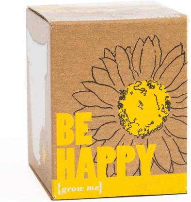 Quinergys RPG-683-SUNFLOWER - Easy & Simple Gardening Kits Seed