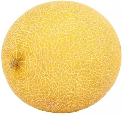 Avysa Super Sweet Yellow Musk Melon Fruit Seed