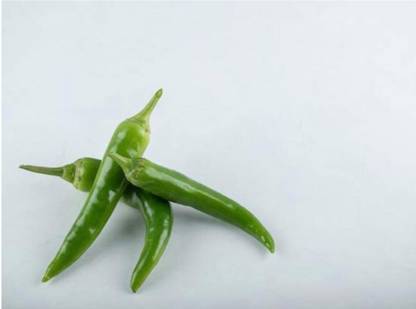 greenfarm NVX- Chilli Seeds / Mirchi Seeds , Best Quality , 300 X Seeds , SAS87 Seed