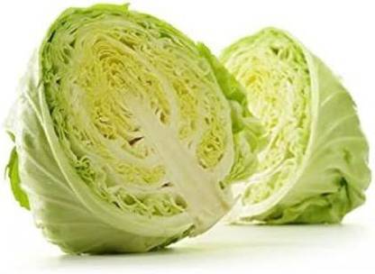 CYBEXIS Organic Best All Purpose Cabbage, Heirloom, Excellent Keeper-250 Seeds Seed