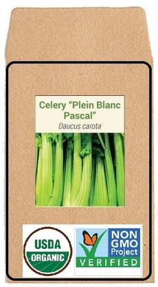 CYBEXIS Hybrid Seeds-Celery700 Seeds Seed