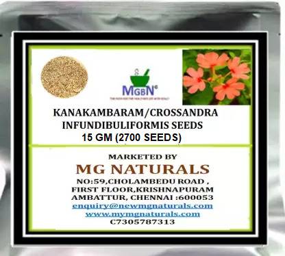 MGBN KANAKAMBARAM/CROSSANDRA INFUNDIBULIFORMIS SEEDS - 15 GM (12700 SEEDS) Seed