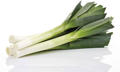 VibeX Vegetable Leek (हरी प्याज) For Home and Gardning Winter(5000 Seeds) Seed