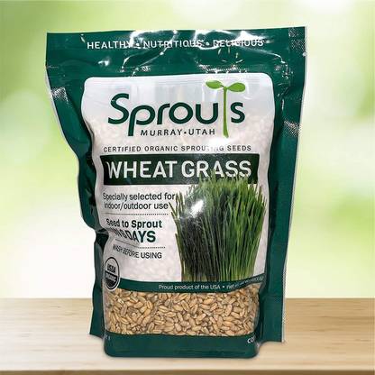CYBEXIS VXI-87 - Premium Hard Red Winter Wheat - (7500 Seeds) Seed