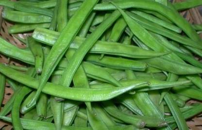 WATIKA Cluster Beans (gawar,guar Phalli,goru chikkudu,kothavara) Seed