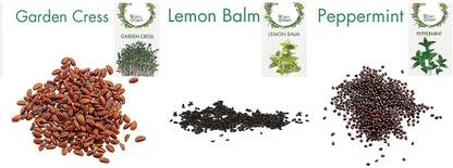 CYBEXIS 3 - Varities Seeds Combo-Garden Cress,Lemon Balm,Peppermint Seed