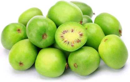 ActrovaX Cold-Tolerant Hardy Kiwi Tropical Fruit [10gm Seeds] Seed