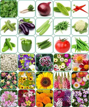 Aero Seeds 30 variety(15 flower and 15 vegetable) seeds combo pack with instruction manual. Seed