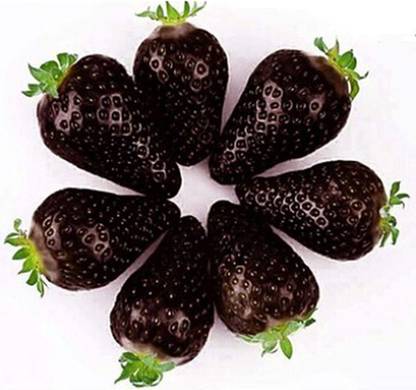 Biosnyg Sweet Organic Black Strawberry Seeds Heirloom Fruits 25 Seeds Seed