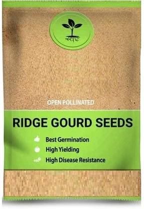VibeX Garden Perfect Hybrid Ridge Gourd Ns 474 High Yield[250 Gms, 1250 Seeds] Seed