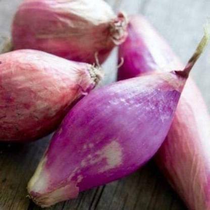 VibeX ® RXI-760 Red Torpedo Onion Séẹd Seed