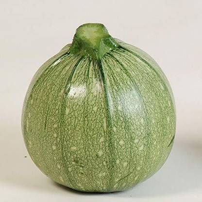 TRICONE Chappan Kaddu Seed