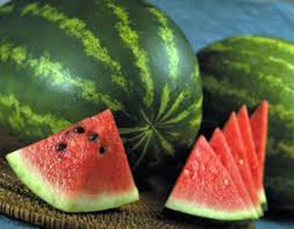 CYBEXIS VVI-4 - Watermelon Jubilee - (150 Seeds) Seed